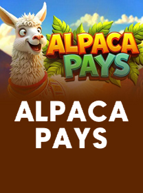 Alpaca-Pays icon