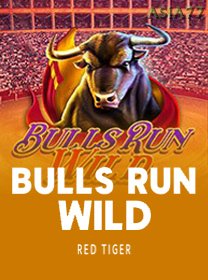 Bulls Run Wild icon